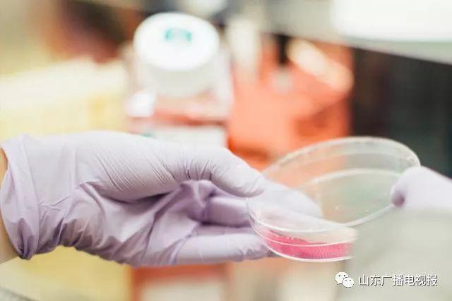 科普生活app：你的随身科学顾问，让知识获取像呼吸一样简单