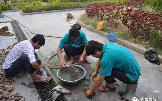 生活科普小知识:高效时间管理+居家整理+智能工具+健康饮食全攻略,让日子过得更顺畅 生活科普小知识:高效时间管理+居家整理+智能工具+健康饮食全攻略,让日子过得更顺畅