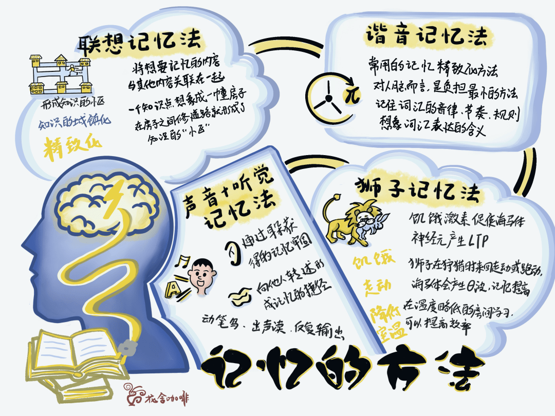 生活百科知识大全竞赛试题高效备考指南：轻松掌握实用技巧与记忆方法