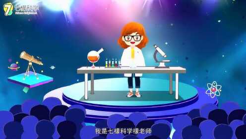 科普视频是什么？揭秘科学知识轻松学的快乐捷径