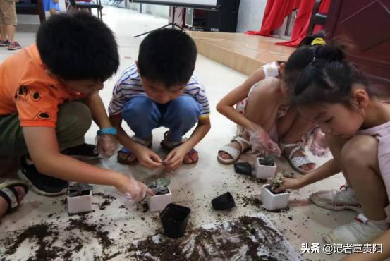 生活百科知识问答题及答案：轻松掌握实用技巧，让生活更简单快乐