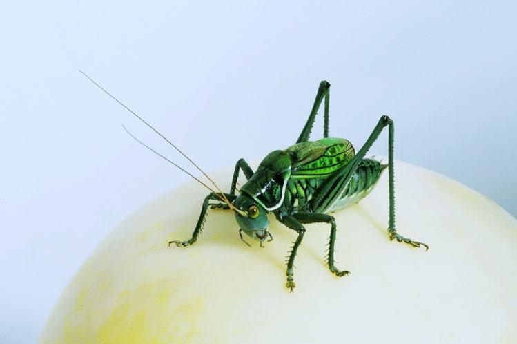 科学生活频道：让科学知识变简单，轻松解决日常难题